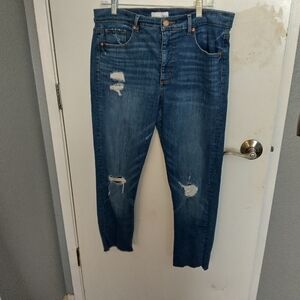 Women's Loft Modern High waist Skinny jeans